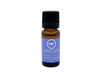 Aromatherapy Essential Oils - SALE